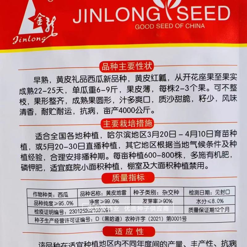 早熟黄皮礼品西瓜种子黄皮地雷西瓜种籽质沙甜脆，籽少皮薄