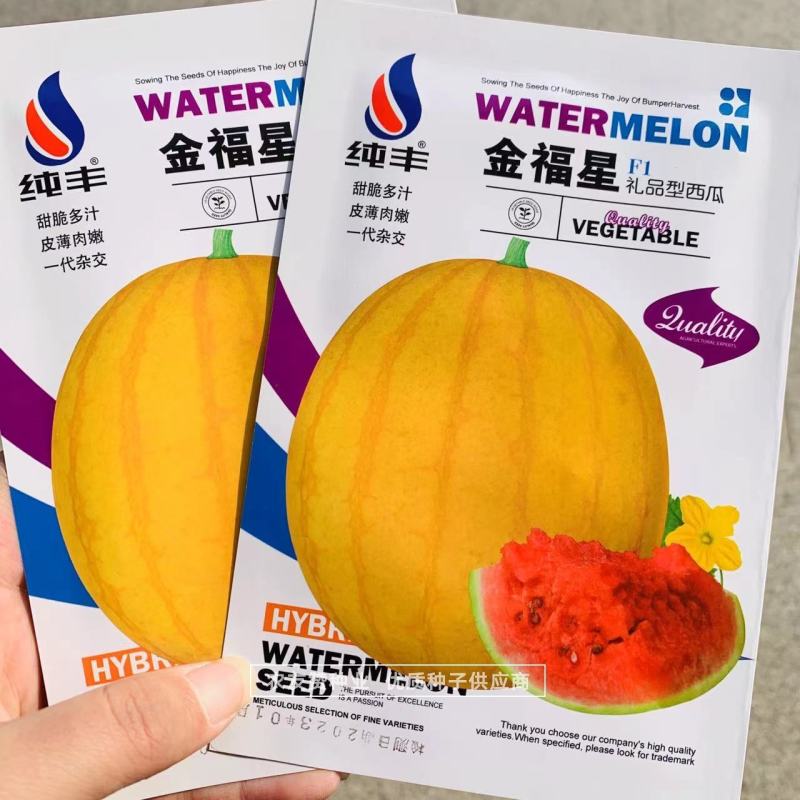 金福星一代杂交礼品型西瓜品种黄皮红肉西瓜种子瓜皮薄口感好