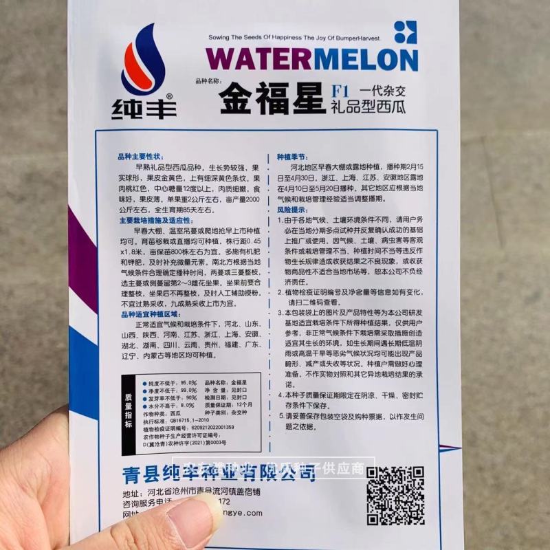 金福星一代杂交礼品型西瓜品种黄皮红肉西瓜种子瓜皮薄口感好