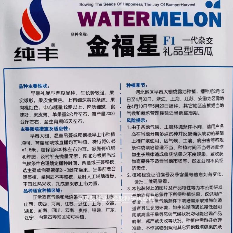 金福星一代杂交礼品型西瓜品种黄皮红肉西瓜种子瓜皮薄口感好