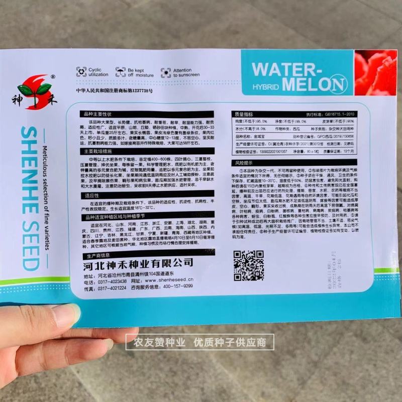大果型懒汉西瓜品种抗枯萎病耐重茬耐旱耐贫瘠硒沙瓜种子