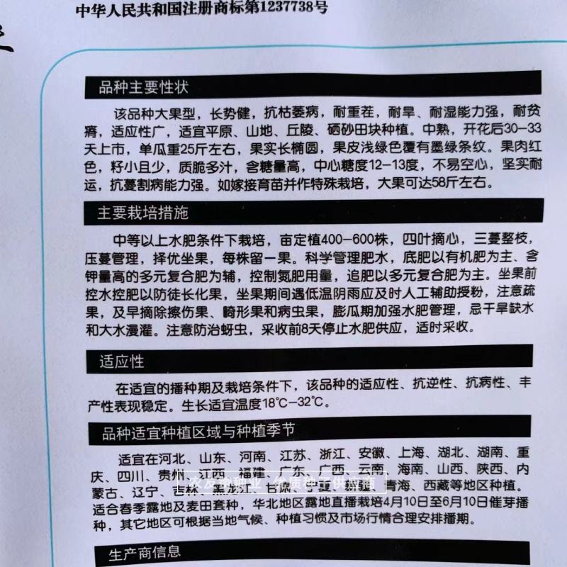 大果型懒汉西瓜品种抗枯萎病耐重茬耐旱耐贫瘠硒沙瓜种子