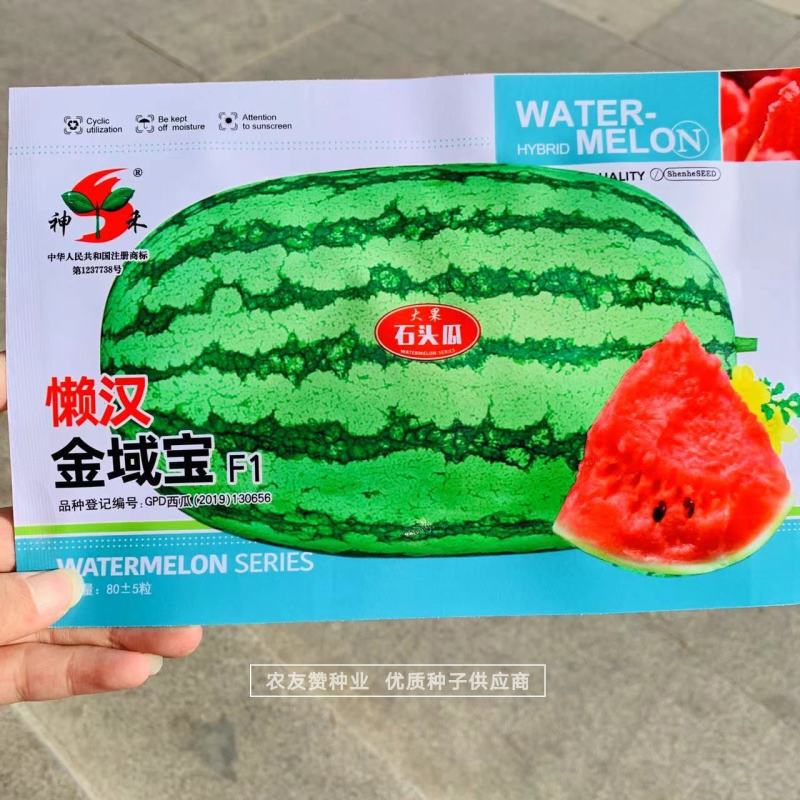 大果型懒汉西瓜品种抗枯萎病耐重茬耐旱耐贫瘠硒沙瓜种子