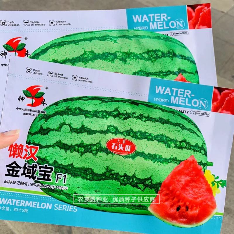大果型懒汉西瓜品种抗枯萎病耐重茬耐旱耐贫瘠硒沙瓜种子