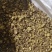 黄芩片过筛无硫无添加黄芩个子规格齐全产地直供