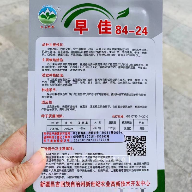 新疆早佳8424西瓜种子皮薄早熟西瓜一代杂交种糖度高