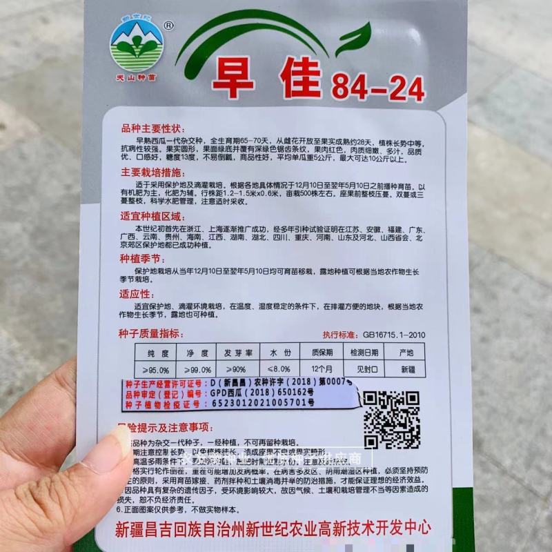 新疆早佳8424西瓜种子皮薄早熟西瓜一代杂交种糖度高