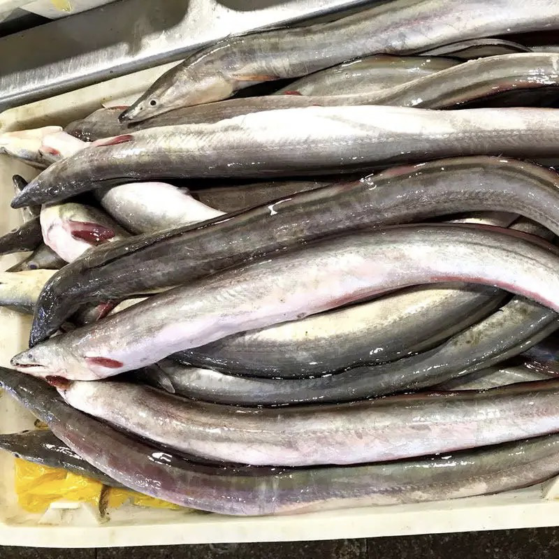 浙江青鳗鱼肉去骨去皮去内脏
