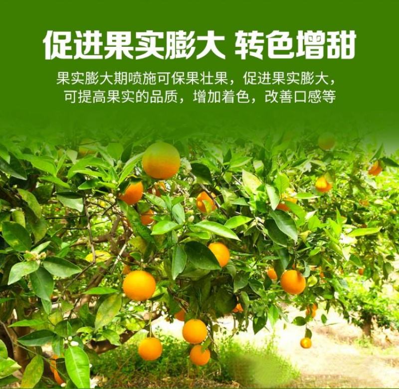 锌硼钙镁磷酸二氢钾多元素植物营养叶面肥花卉多肉果树肥料