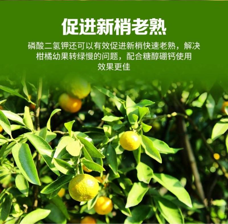 锌硼钙镁磷酸二氢钾多元素植物营养叶面肥花卉多肉果树肥料