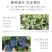锌硼钙镁磷酸二氢钾多元素植物营养叶面肥花卉多肉果树肥料