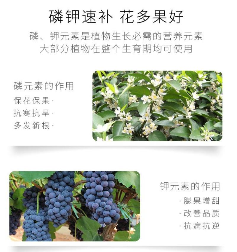 锌硼钙镁磷酸二氢钾多元素植物营养叶面肥花卉多肉果树肥料