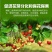 锌硼钙镁磷酸二氢钾多元素植物营养叶面肥花卉多肉果树肥料