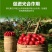 锌硼钙镁磷酸二氢钾多元素植物营养叶面肥花卉多肉果树肥料