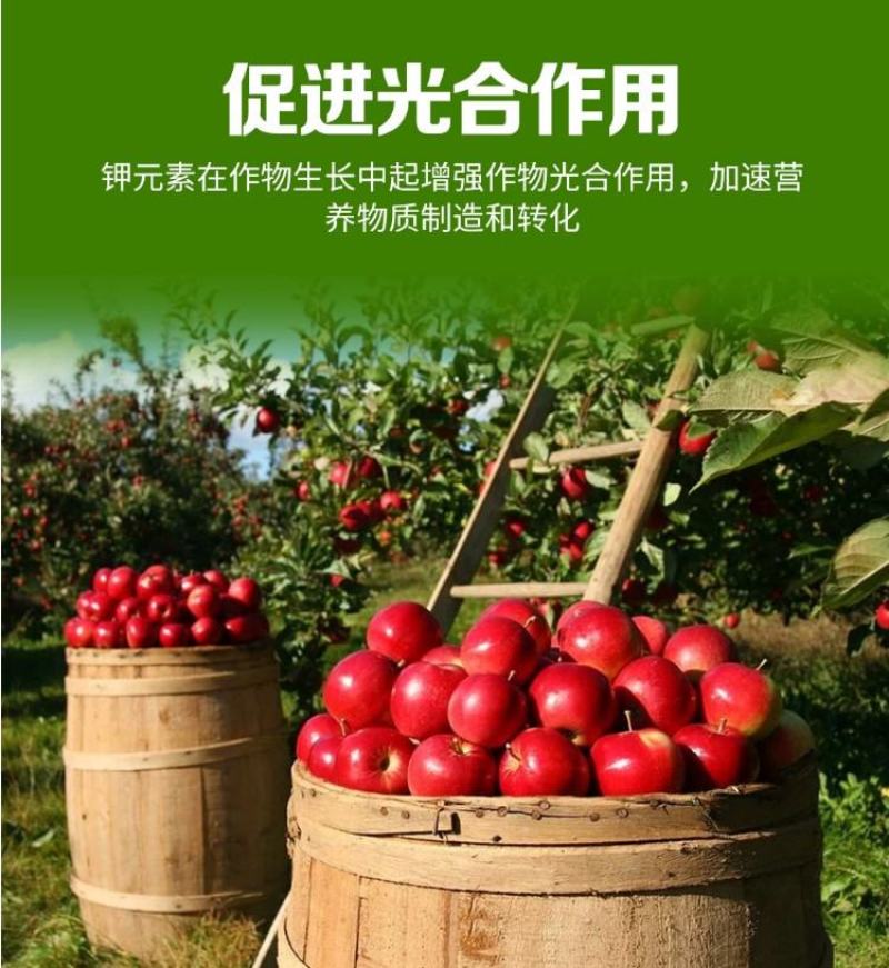 锌硼钙镁磷酸二氢钾多元素植物营养叶面肥花卉多肉果树肥料