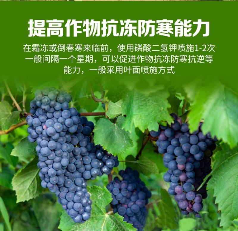 锌硼钙镁磷酸二氢钾多元素植物营养叶面肥花卉多肉果树肥料