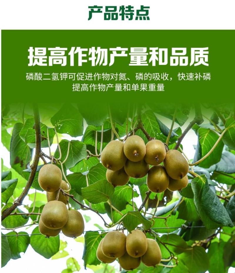 锌硼钙镁磷酸二氢钾多元素植物营养叶面肥花卉多肉果树肥料