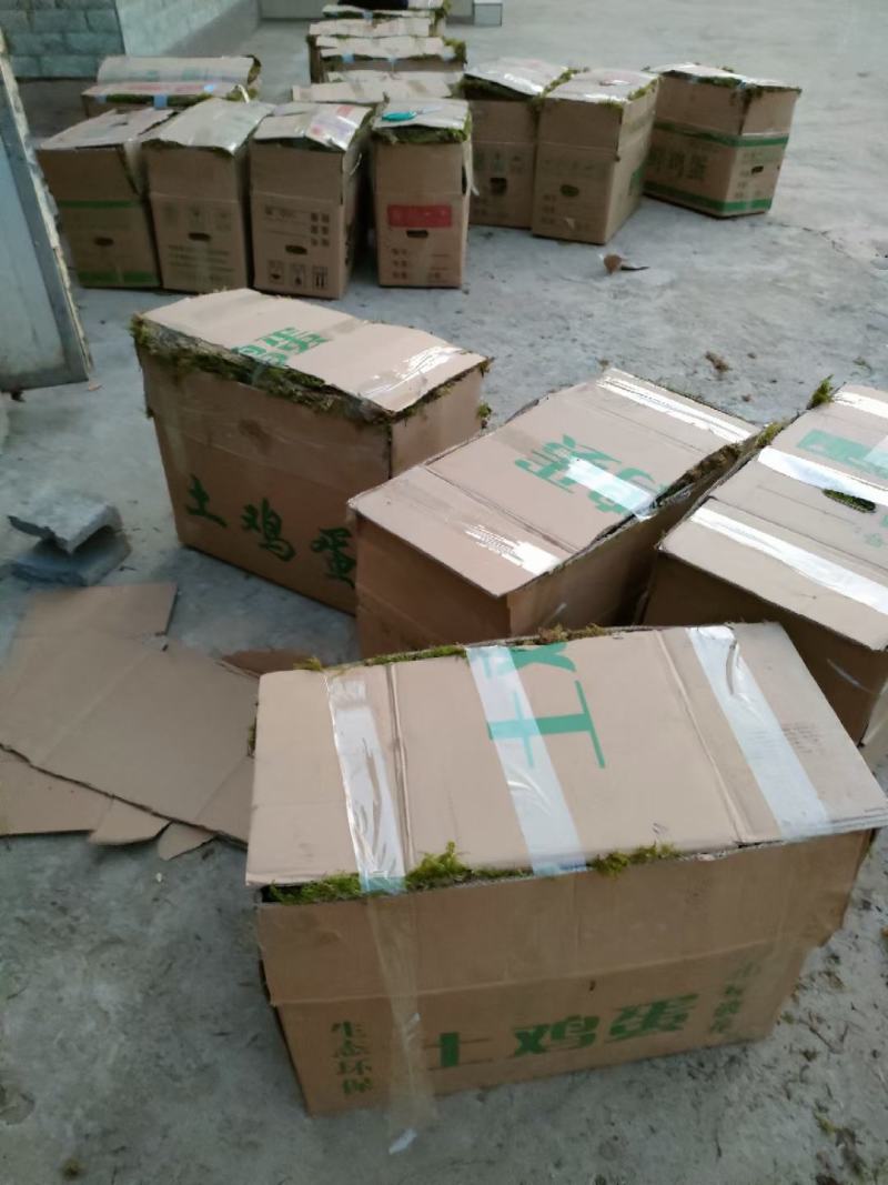 朵朵苔藓，绿化专用，假山，院庭，带来一种大自然的新鲜美景