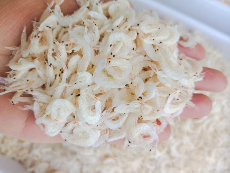 渤海湾无盐淡干虾皮，一手货源，干度好颜色好看