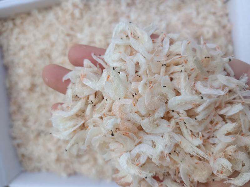 渤海湾无盐淡干虾皮，一手货源，干度好颜色好看