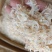 渤海湾无盐淡干虾皮，一手货源，干度好颜色好看