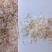 渤海湾无盐淡干虾皮，一手货源，干度好颜色好看