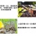 新朝阳免申耕免深耕大棚盆栽花卉土壤调理剂疏松土壤