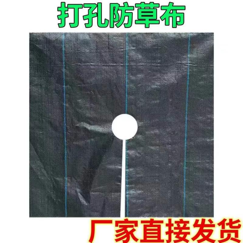 包邮切片打孔防草布果树除草布园林地布多规格一百片送地钉
