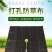 包邮切片打孔防草布果树除草布园林地布多规格一百片送地钉
