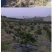 包邮切片打孔防草布果树除草布园林地布多规格一百片送地钉