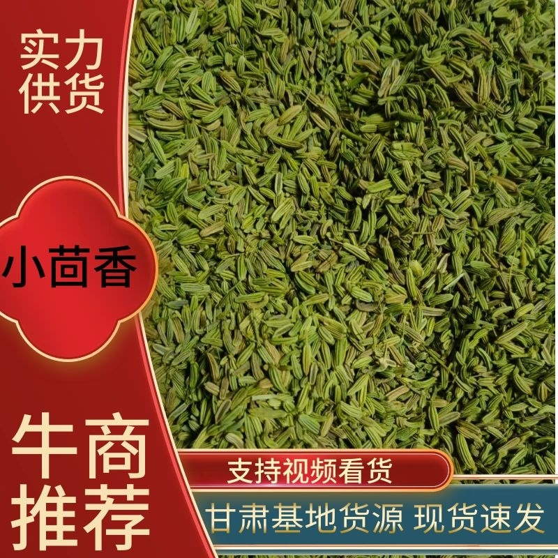 【推荐】小茴香，颗粒饱满，一手货源，量大从优。