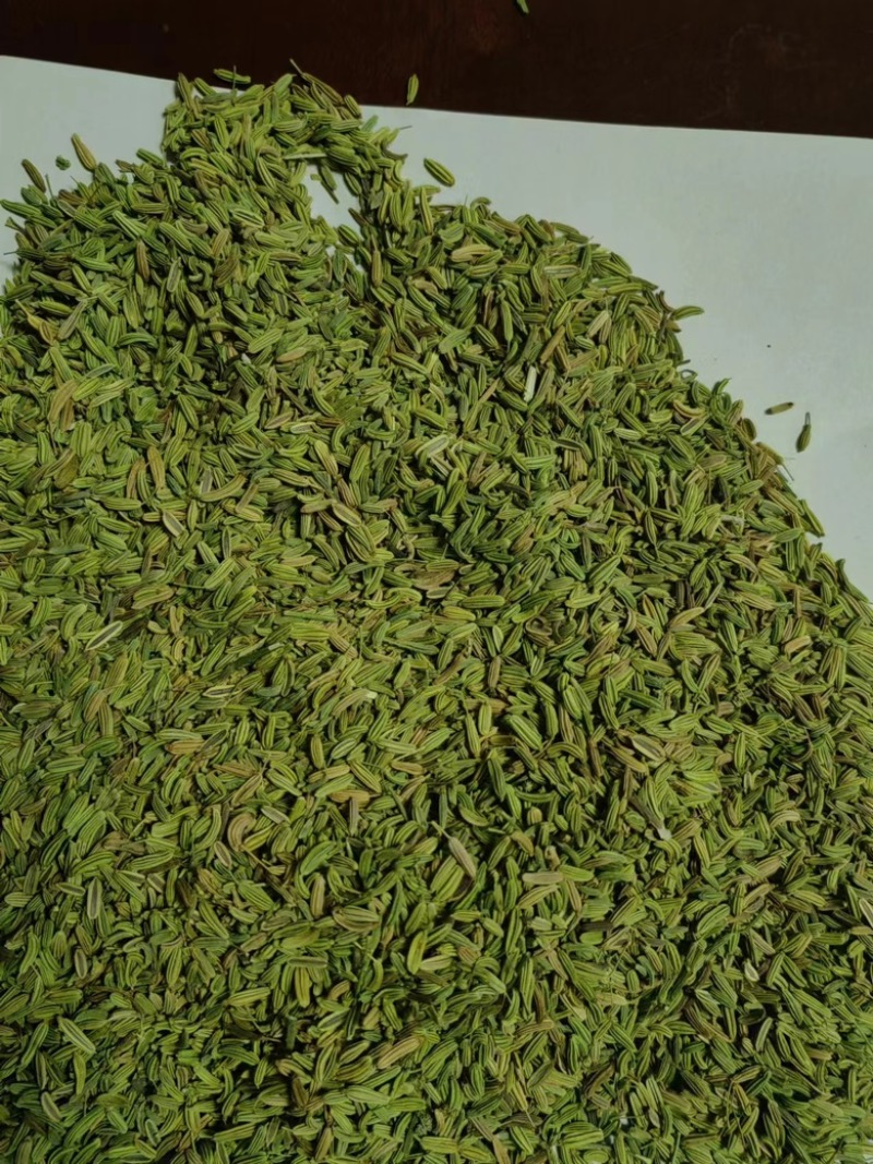 【推荐】小茴香，颗粒饱满，一手货源，量大从优。