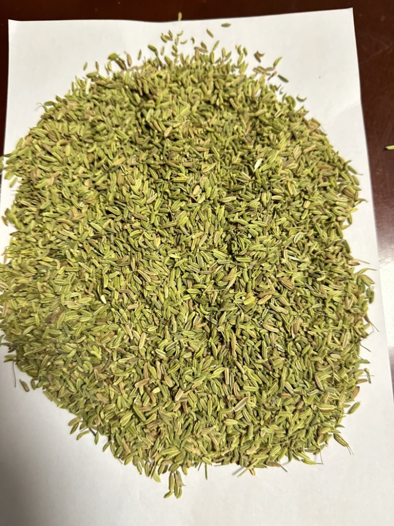 【推荐】小茴香，颗粒饱满，一手货源，量大从优。