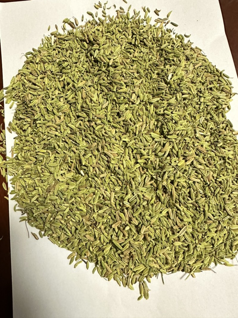 【推荐】小茴香，颗粒饱满，一手货源，量大从优。