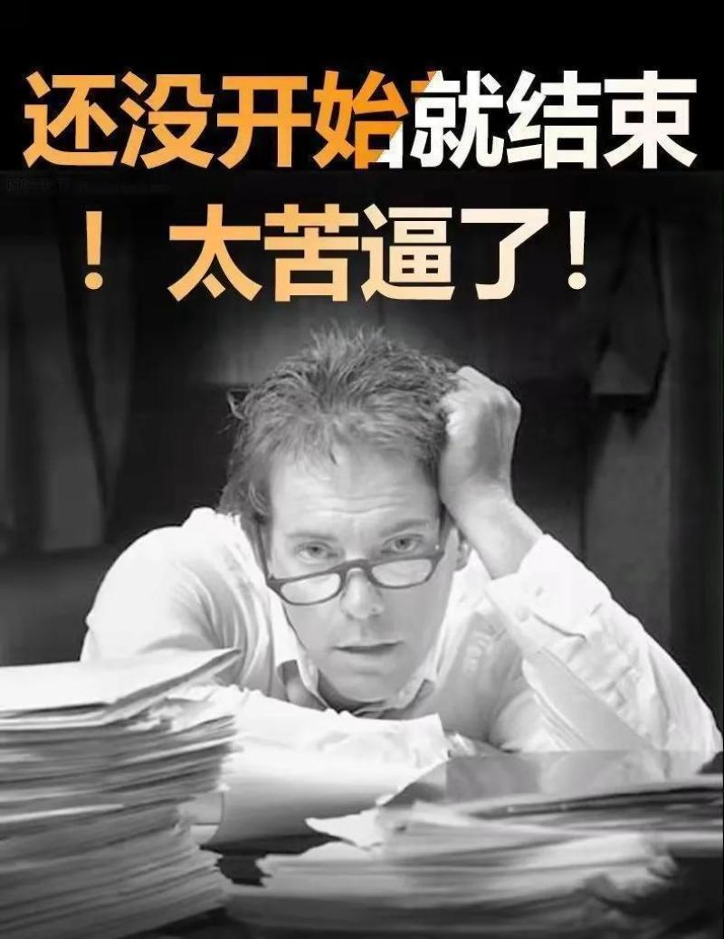 沙苑子菟丝子养舌茶桑葚枸杞熬夜养生茶熬夜肾虚同补