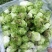 四川精品儿菜各种品质都有大小车都接多城市有货大心小心