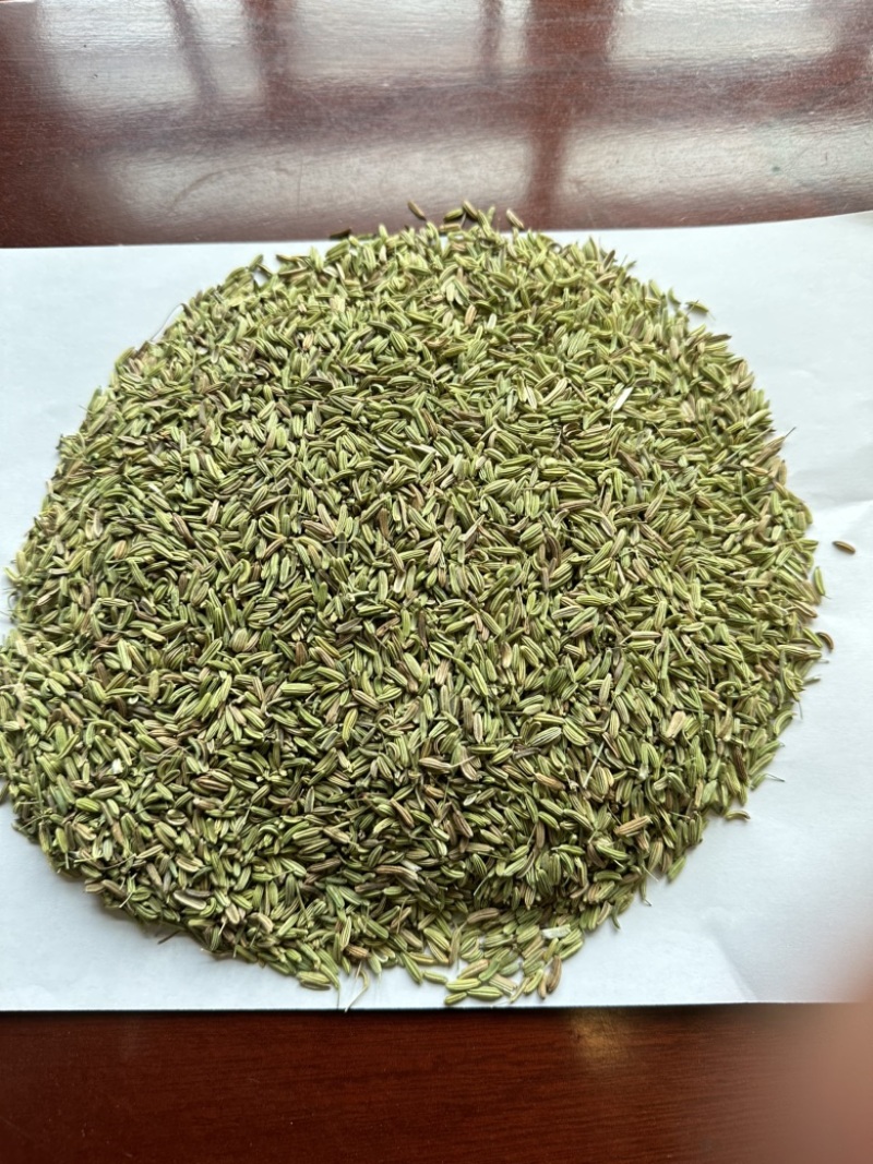 甘肃民勤小茴香，国产小茴香，一手货源，常年直销。