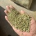 甘肃民勤小茴香，国产小茴香，一手货源，常年直销。