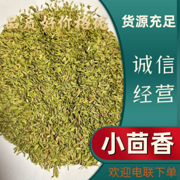 甘肃民勤小茴香，国产小茴香，一手货源，常年直销。
