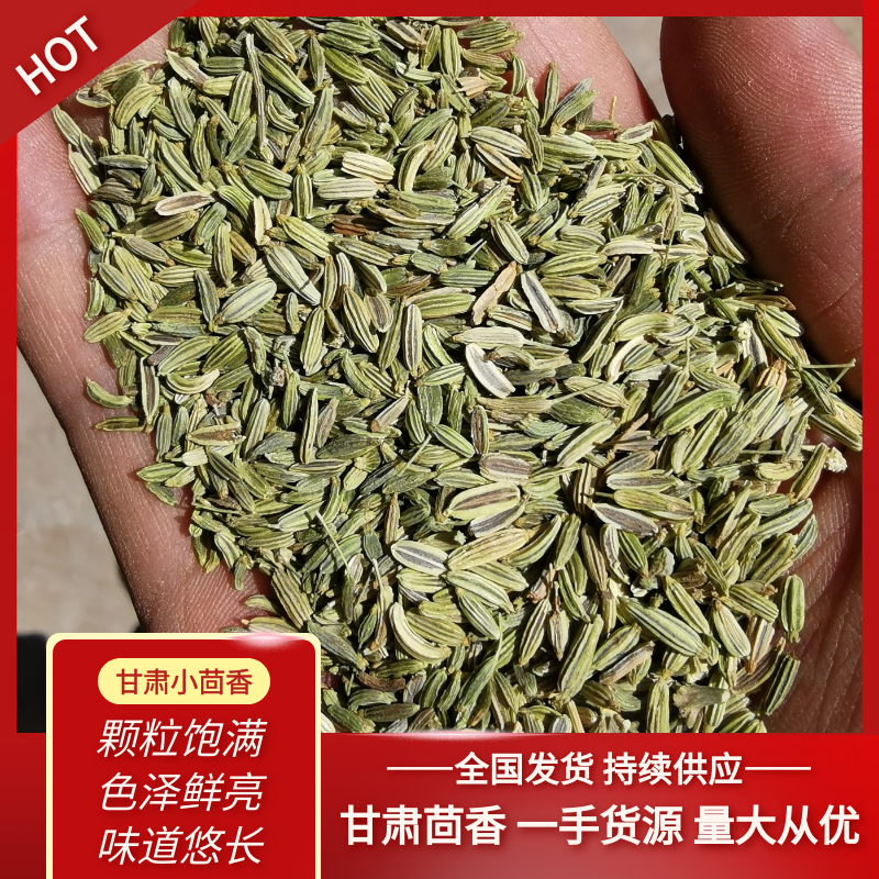 甘肃小茴香，颗粒饱满，色泽鲜亮，味道悠长，一手货。