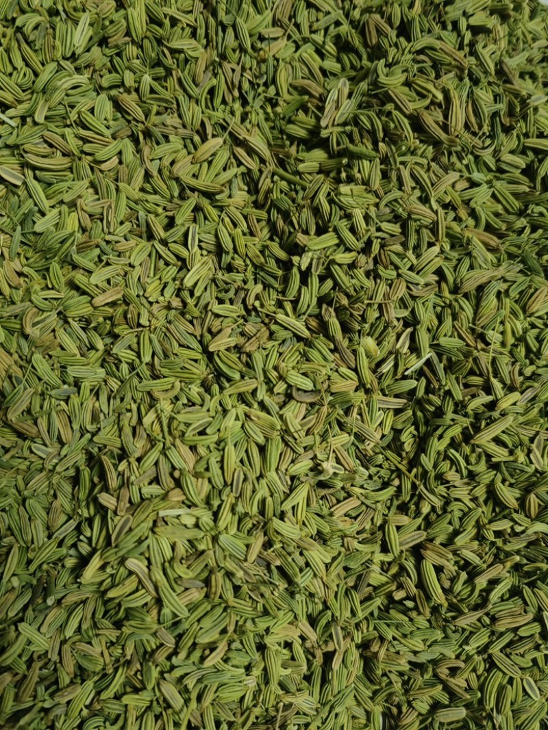 甘肃小茴香，颗粒饱满，色泽鲜亮，味道悠长，一手货。