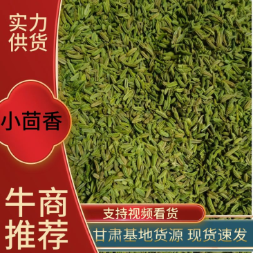 【推荐】小茴香，颗粒饱满，一手货源，量大从优。