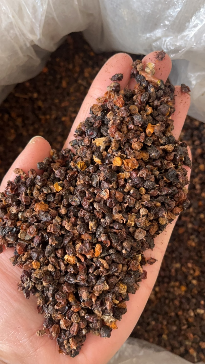 沙棘药用沙棘文斌药业批发零售保质保量一公斤起批