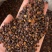 沙棘药用沙棘文斌药业批发零售保质保量一公斤起批