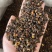 沙棘药用沙棘文斌药业批发零售保质保量一公斤起批