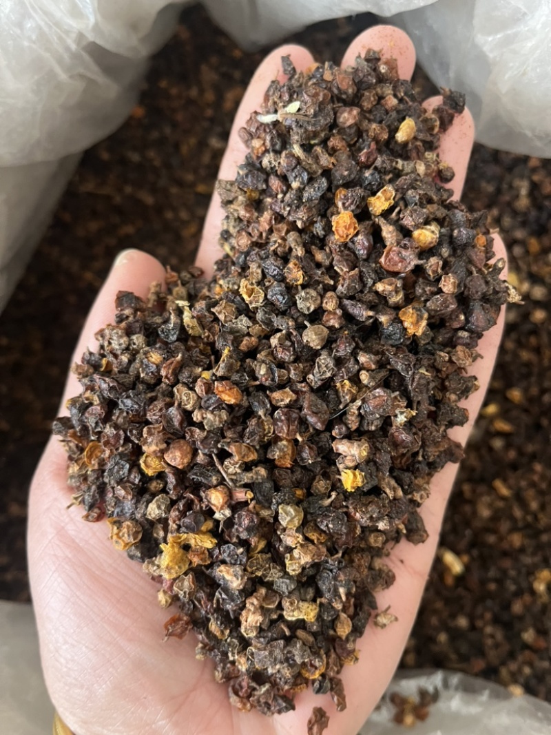 沙棘药用沙棘文斌药业批发零售保质保量一公斤起批