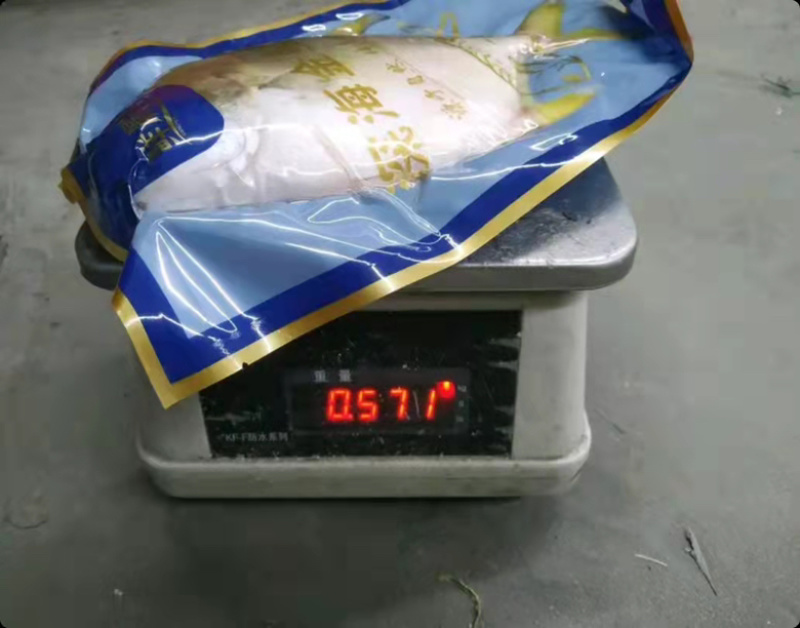 金鲳鱼鲜活冷冻特大金昌鱼平鱼海昌鱼江苏海鲜水产批发