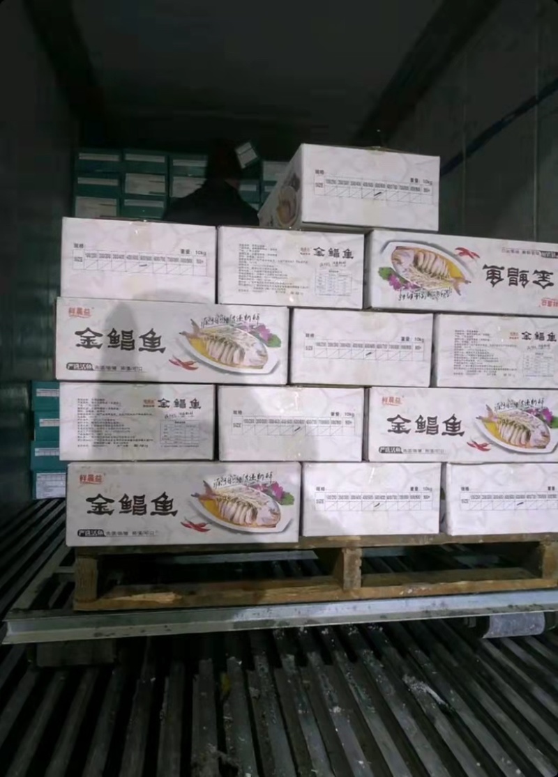 金鲳鱼鲜活冷冻特大金昌鱼平鱼海昌鱼江苏海鲜水产批发