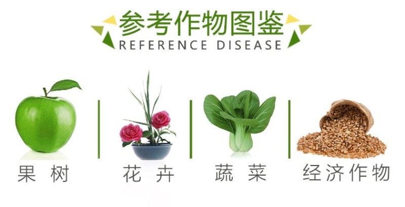 大清园25%络氨铜纹枯病立枯病枯萎病细菌真菌果园清园