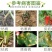 大清园25%络氨铜纹枯病立枯病枯萎病细菌真菌果园清园